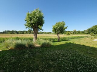 Blick auf die Haffwiesen