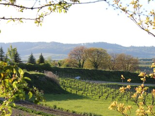 Appartamento per vacanze Eichstetten Ambiente 15