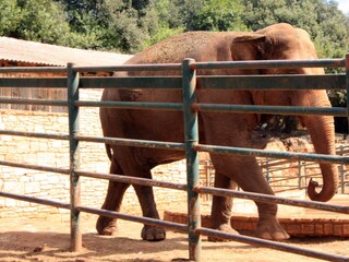 Appartamento per vacanze Porec Ambiente 18