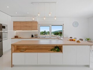 Villa Krivodol (Podbablje) Caratteristiche 15