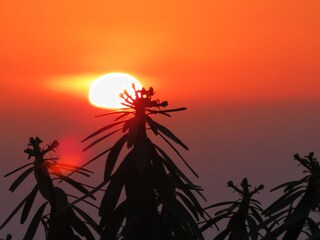 jeden Abend  traumhafte Sonnenuntergänge am Meer