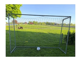 Fussballtor