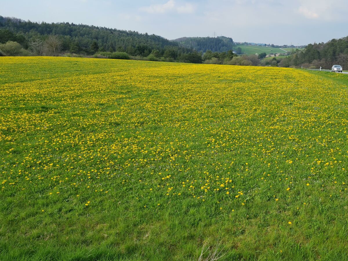 Blick auf Nohn