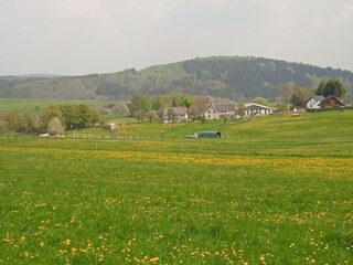 Hauptnavi 3 Über uns Headerbild