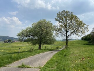 Subnavi 3.4 Aktivitäten 4