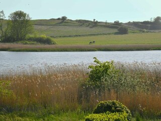 Appartamento per vacanze Lancken-Granitz Caratteristiche 41