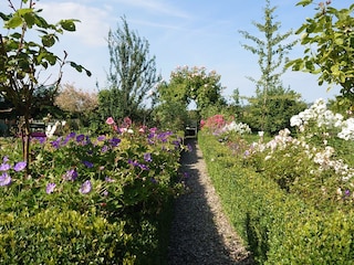 Blick in den Garten
