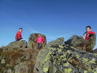 Appartamento per vacanze Mittersill Ambiente 10