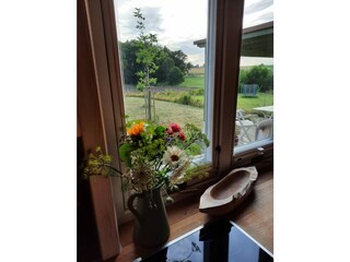 Casa mobile Satow Caratteristiche 21