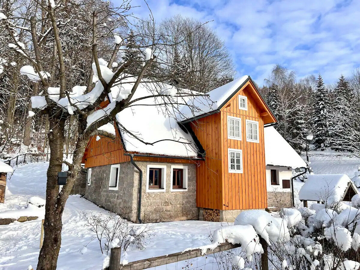 Villa Lučany nad Nisou Outdoor Recording 1