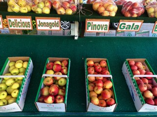 Vakantieappartement Bodman-Ludwigshafen Omgeving 26