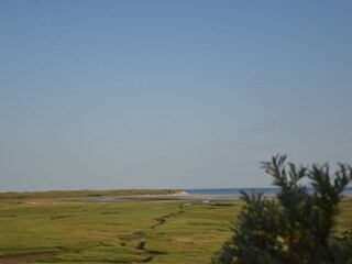 Vakantiehuis De Cocksdorp Omgeving 28