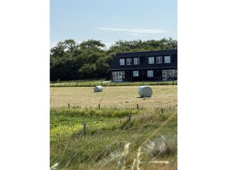 Vakantiehuis De Cocksdorp Buitenaudio-opname 3