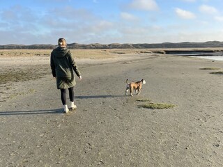 Hund mit in den Urlaub