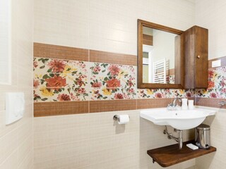 Villa Tinjan Caratteristiche 21