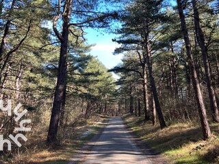 Casa per le vacanze Egmond aan den Hoef Ambiente 24