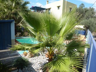 House and swimming pool