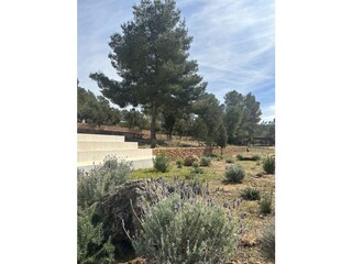 Appartement Sant Josep de sa Talaia Buitenaudio-opname 12