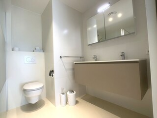 Appartamento per vacanze Cadzand-Bad Caratteristiche 13