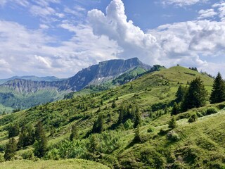 Appartamento per vacanze Wolfurt Ambiente 9