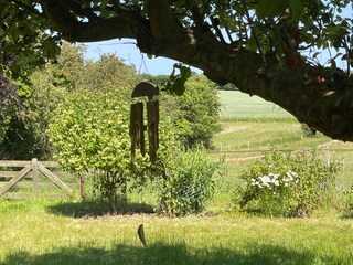 Garten und Koppel