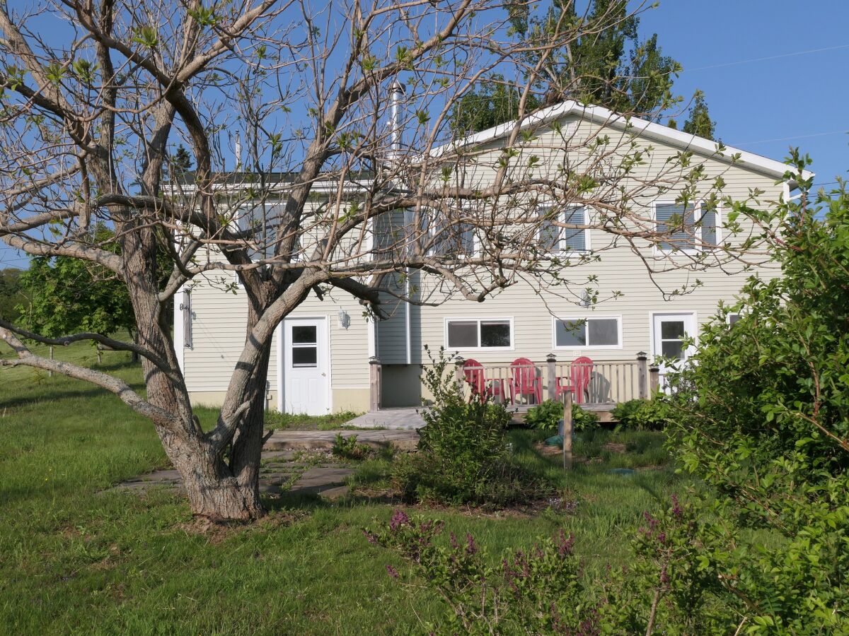 Garten mit Terrasse