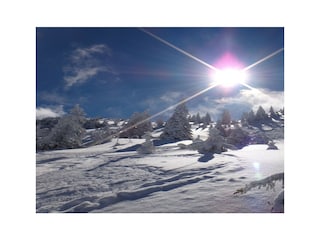 Apartment Kirchberg in Tirol  44