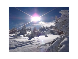 Chalet Kirchberg in Tirol Environnement 15