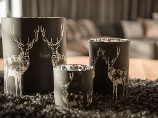 Chalet Kirchberg in Tirol  31