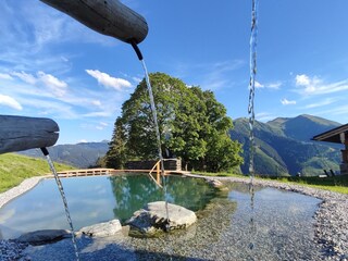 Chalet Saalbach Außenaufnahme 10