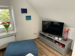 Flachbild-TV