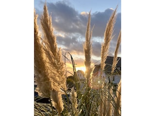 Stimmung