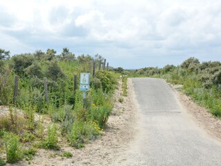 Wandern und Fahrradfahren durch die Dünen