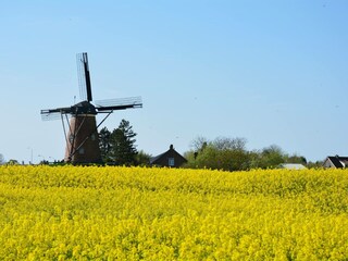 Casa per le vacanze Cadzand-Bad Ambiente 16