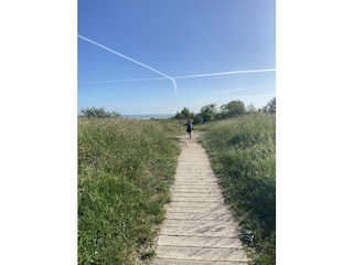 Weg durch die Dünen zum Strand