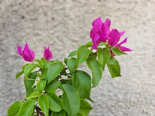 Appartamento per vacanze Njivice Registrazione all'aperto 10