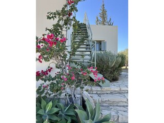 Casa de vacaciones Kamilari Grabación al aire libre 22