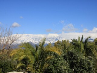 Holiday house Kamilari Environment 51