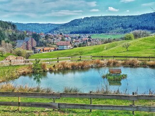 HausSchwarzwaldgrund_Schwarzwaldwoelkchen_Panorama