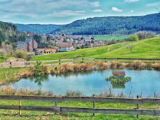 HausSchwarzwaldgrund_Schwarzwaldwoelkchen_Panorama
