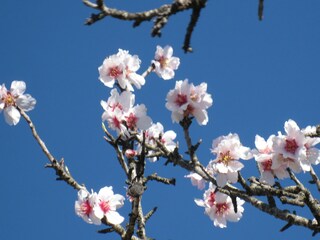 Villa Javea Ambiente 19