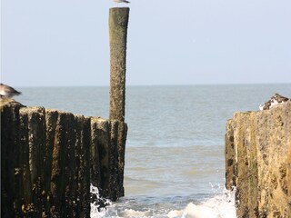 Appartamento Cadzand-Bad Ambiente 16