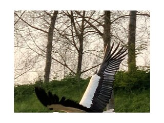 Appartamento Cadzand-Bad Ambiente 23