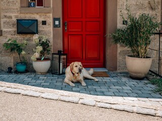 Casa per le vacanze Creglingen Registrazione all'aperto 6