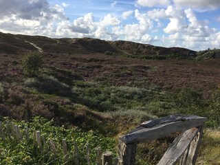 Appartamento Wenningstedt Ambiente 21