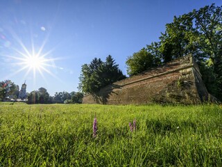 Stadtmauer Bad Radkersburg