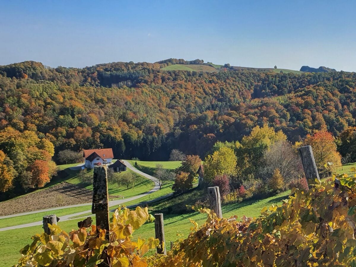 Herbst in Loipersdorf