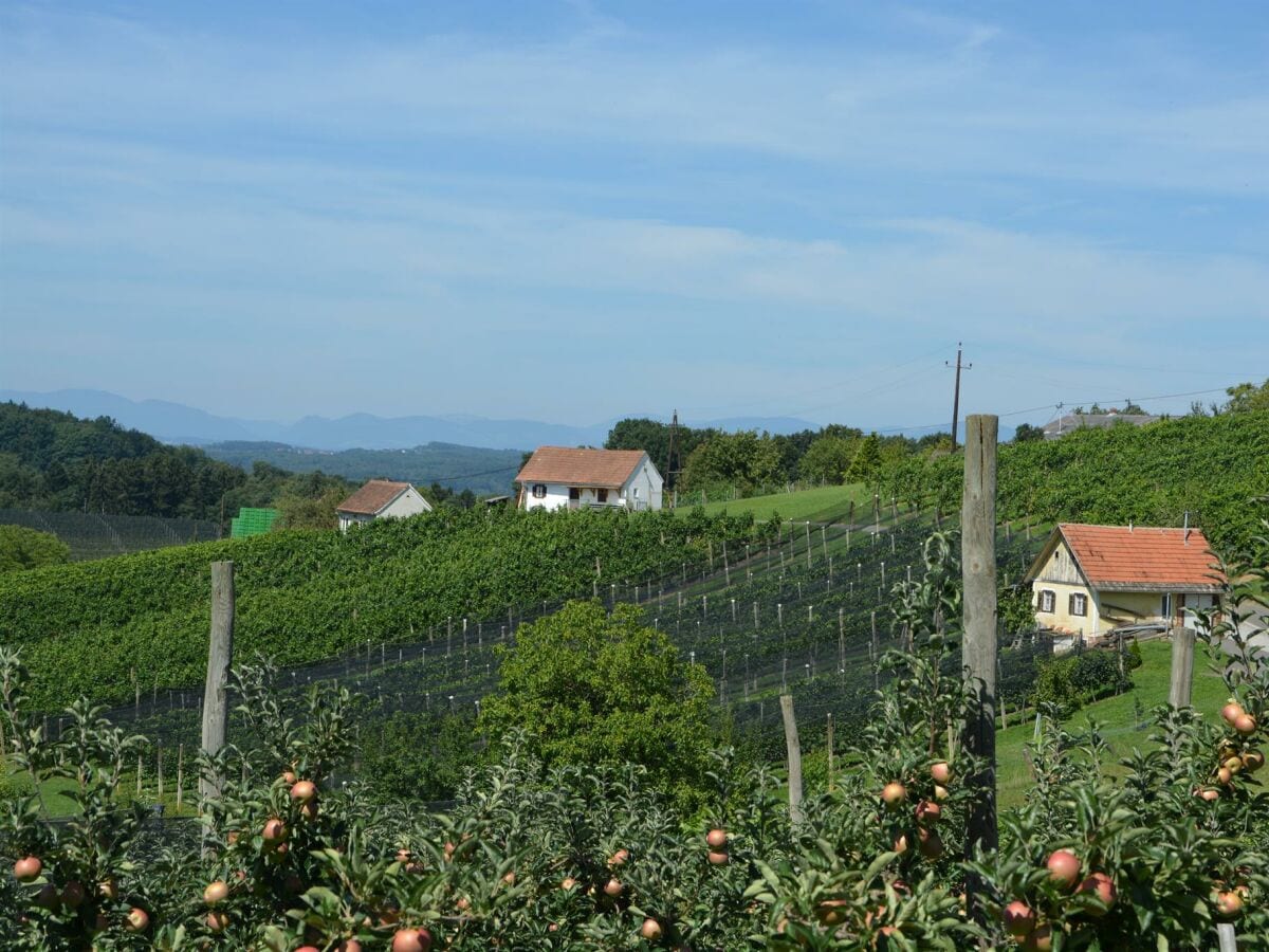 Obstgärten rund um Ilz