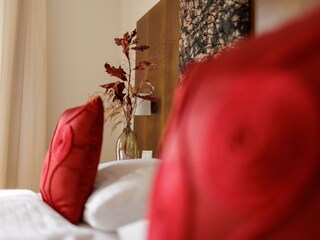 Detail Kissen rot_1