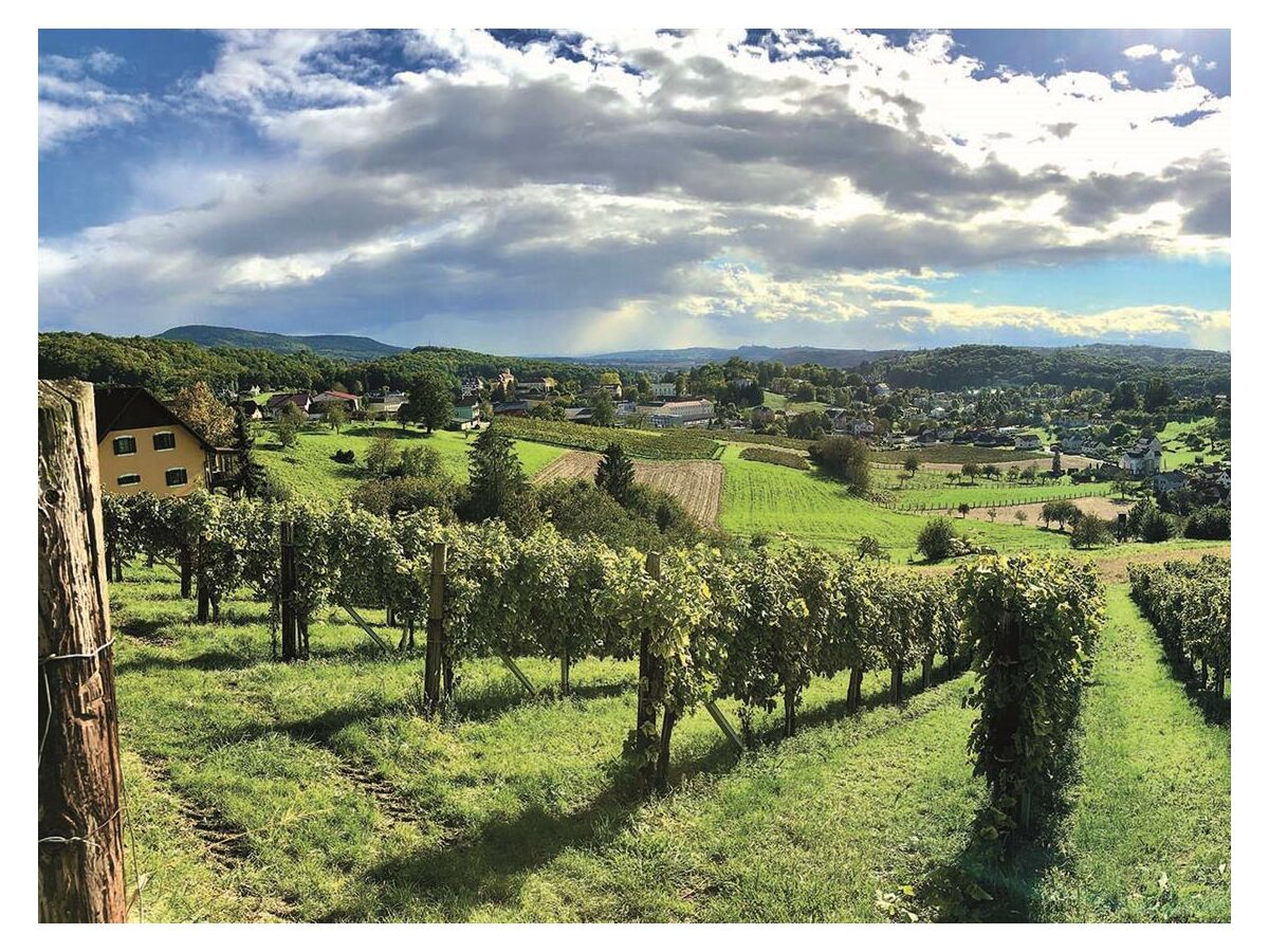 Ausblick Landhaus